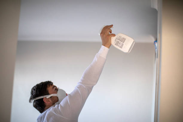 Best Industrial Mold Remediation in Yorketown, NJ