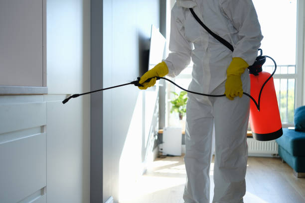 Best Commercial Mold Remediation in Yorketown, NJ