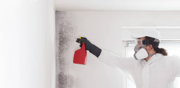 Best HVAC Mold Remediation in Yorketown, NJ